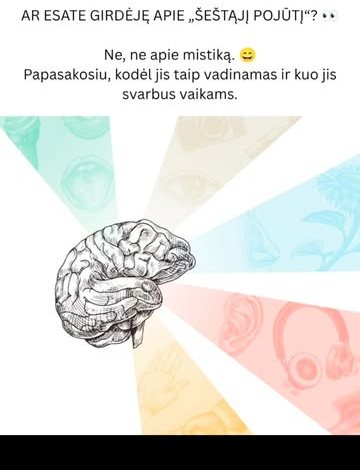 Iliustracija: smegenys ir pojūčiai